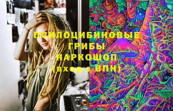 гашик Балабаново