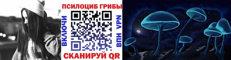 Псилоцибиновые грибы Cubensis Белокуриха