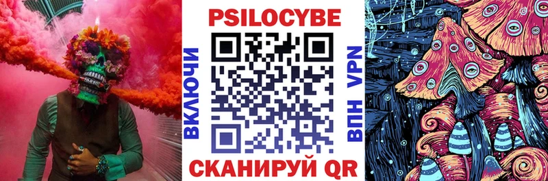 Псилоцибиновые грибы GOLDEN TEACHER  Белокуриха 